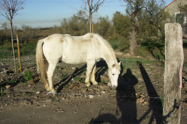 PICT6144.JPG
