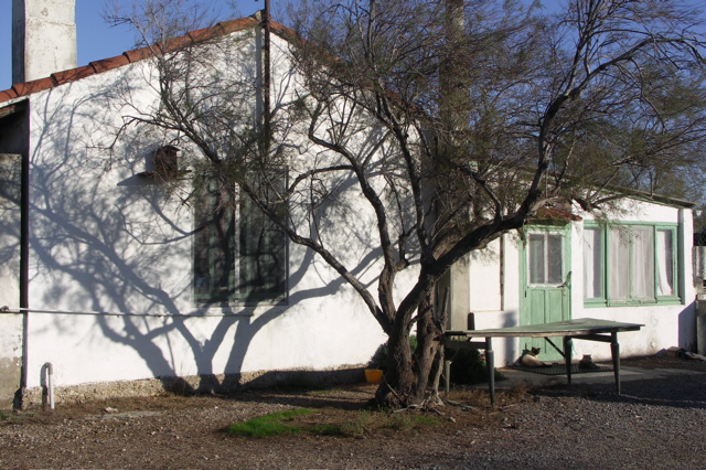 PICT6146.JPG