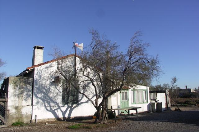 PICT6147.JPG