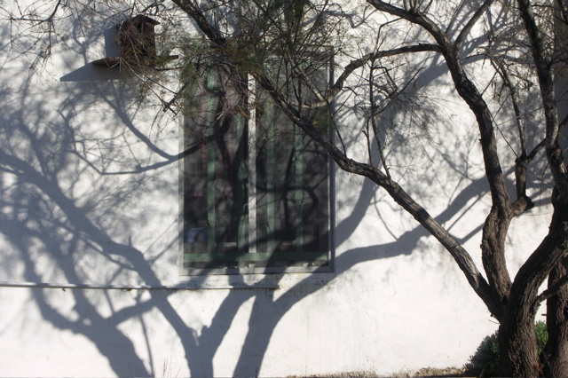 PICT6148.JPG
