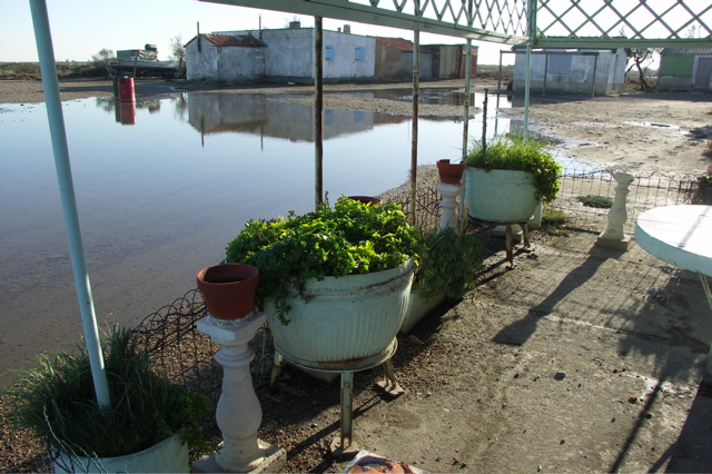 PICT6151.JPG