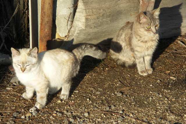 PICT6155.JPG