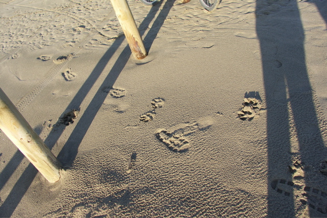 PICT6160.JPG