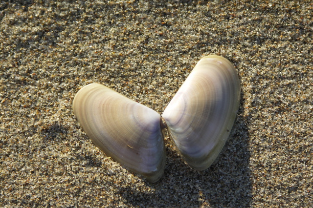PICT6174.JPG