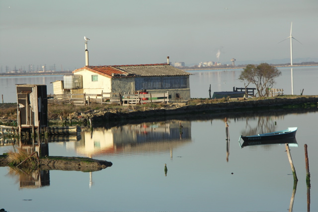 PICT6183.JPG