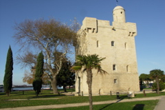 PICT6092.JPG