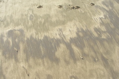 PICT6212.JPG