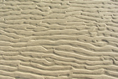 PICT6213.JPG