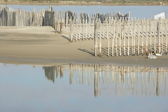 PICT6214.JPG