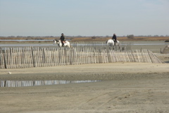 PICT6217.JPG