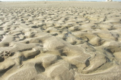 PICT6221.JPG