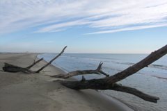 PICT6224.JPG