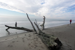 PICT6226.JPG