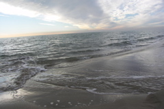 PICT6234.JPG