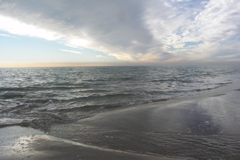 PICT6235.JPG