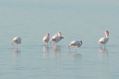 PICT6447.JPG