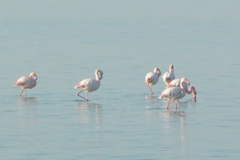 PICT6448.JPG