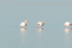 PICT6449.JPG