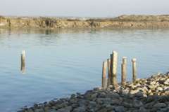 PICT6450.JPG