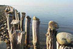 PICT6451.JPG