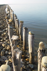 PICT6452.JPG