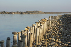 PICT6453.JPG