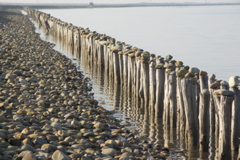 PICT6455.JPG