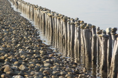 PICT6456.JPG