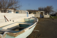 PICT6460.JPG