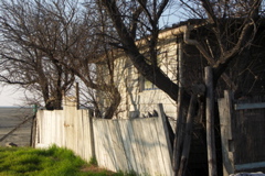 PICT6465.JPG