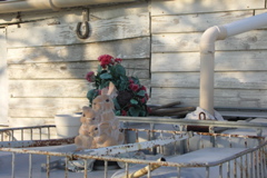 PICT6466.JPG