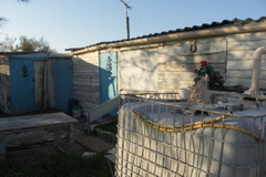 PICT6467.JPG