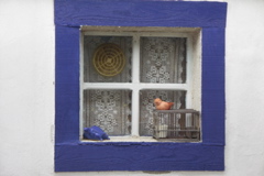 PICT6473.JPG