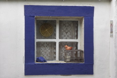 PICT6474.JPG