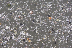 PICT6477.JPG