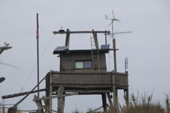 PICT6480.JPG