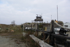 PICT6481.JPG