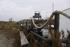 PICT6482.JPG