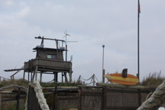 PICT6483.JPG
