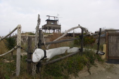 PICT6484.JPG