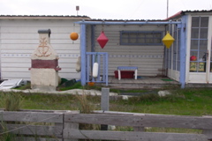 PICT6486.JPG