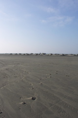 PICT6487.JPG