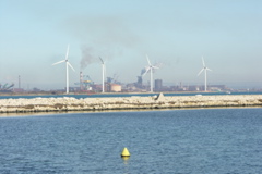PICT6110.JPG