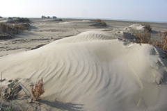 PICT6492.JPG