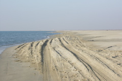 PICT6495.JPG