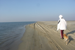 PICT6496.JPG