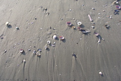 PICT6497.JPG