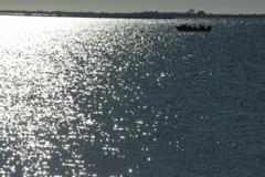 PICT6111.JPG