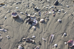 PICT6498.JPG