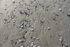 PICT6499.JPG